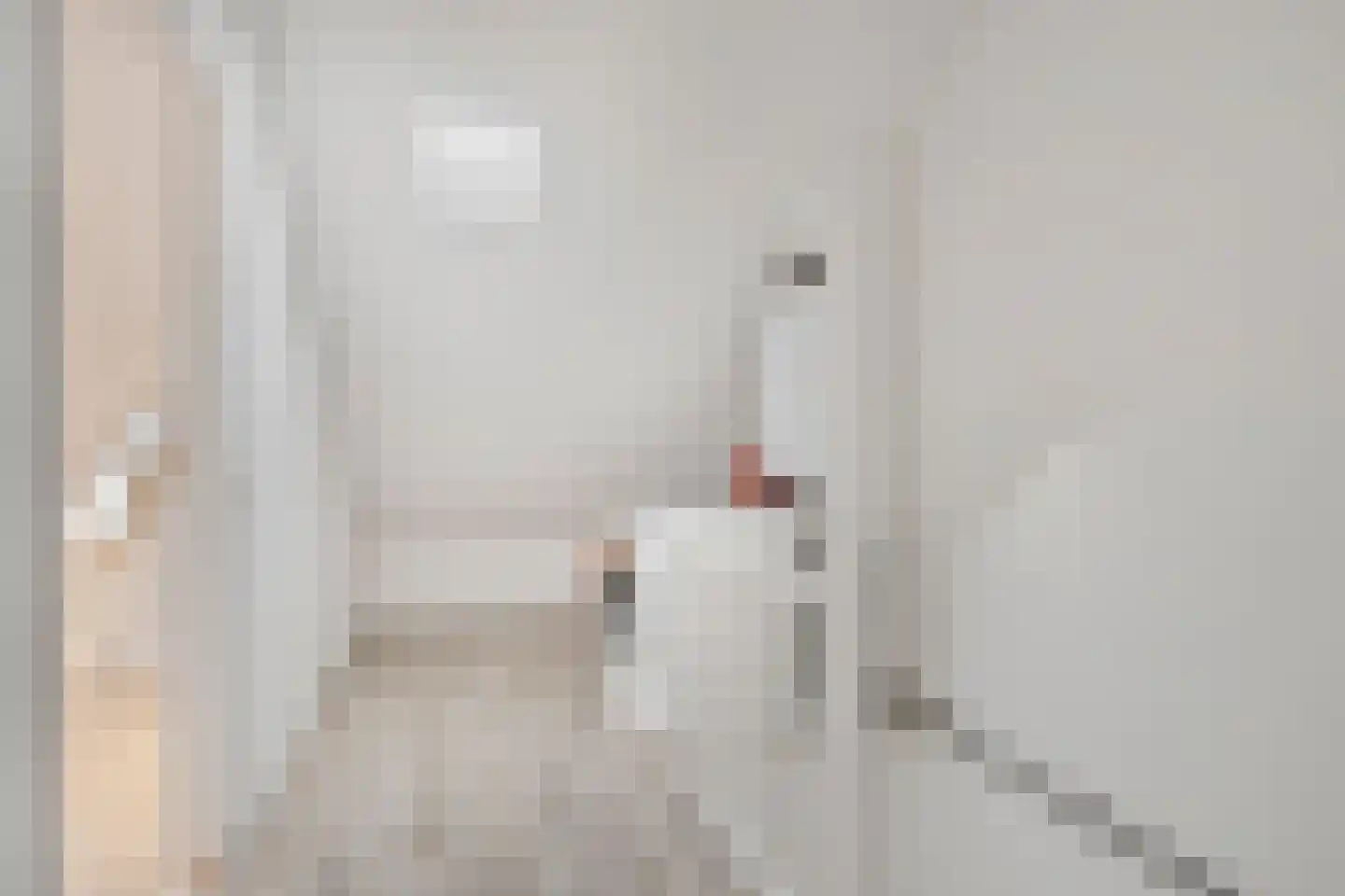 Cort van der Lindenstraat 133 Goes thumbnail 19