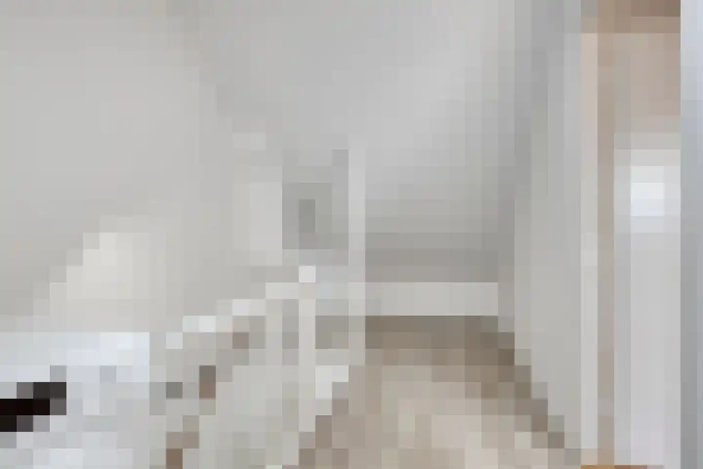 Cort van der Lindenstraat 133 Goes thumbnail 20