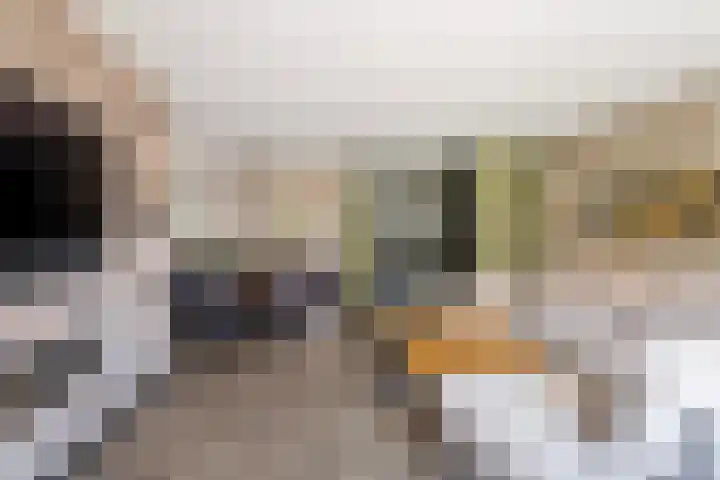 Cort van der Lindenstraat 14 Naaldwijk thumbnail 10