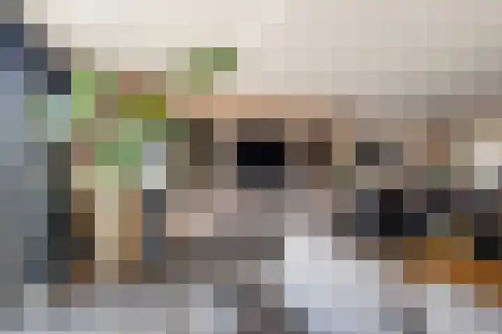 Cort van der Lindenstraat 14 Naaldwijk thumbnail 11