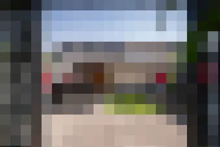 Cort van der Lindenstraat 14 Naaldwijk thumbnail 12
