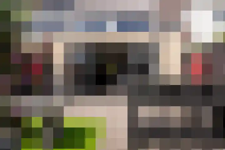 Cort van der Lindenstraat 14 Naaldwijk thumbnail 16