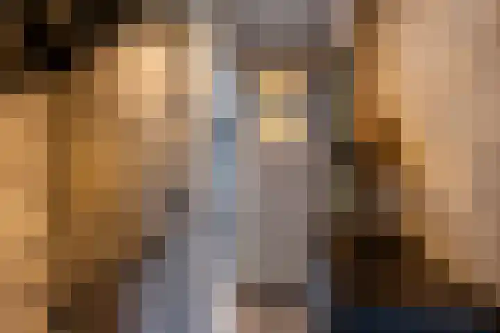 Cort van der Lindenstraat 14 Naaldwijk thumbnail 18