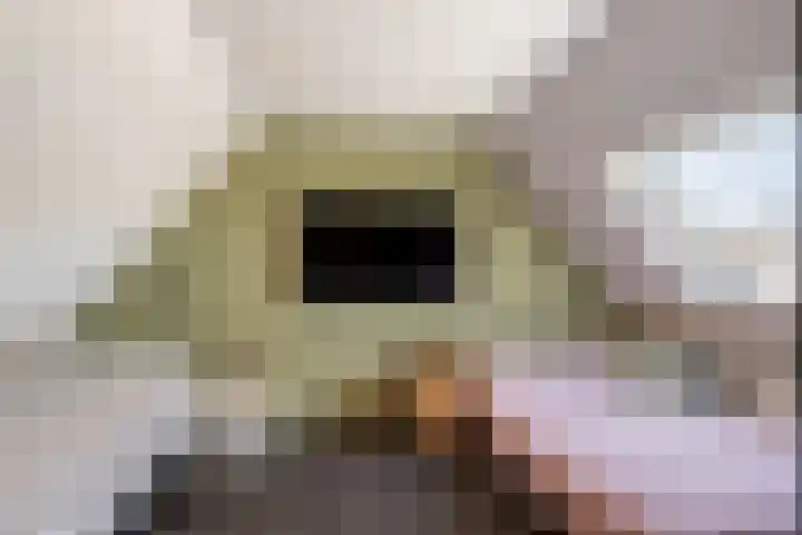 Cort van der Lindenstraat 14 Naaldwijk thumbnail 27