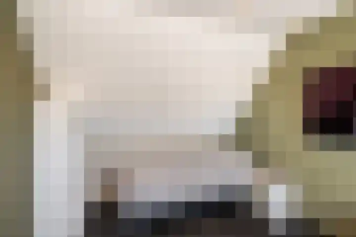 Cort van der Lindenstraat 14 Naaldwijk thumbnail 29