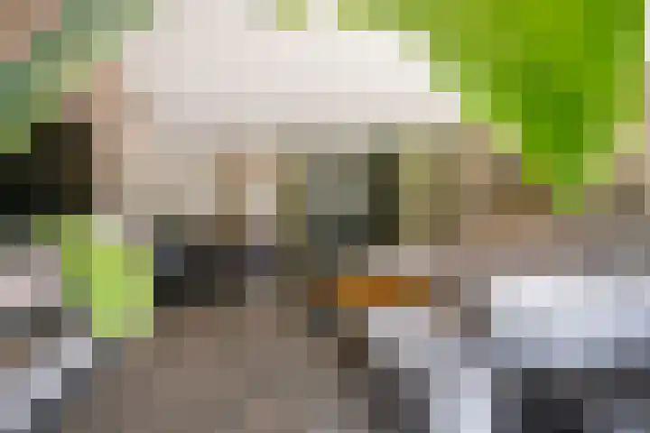 Cort van der Lindenstraat 14 Naaldwijk foto 3