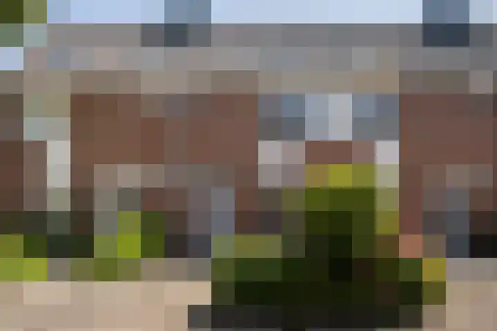 Cort van der Lindenstraat 14 Naaldwijk thumbnail 31