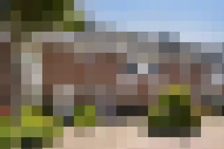 Cort van der Lindenstraat 14 Naaldwijk thumbnail 37