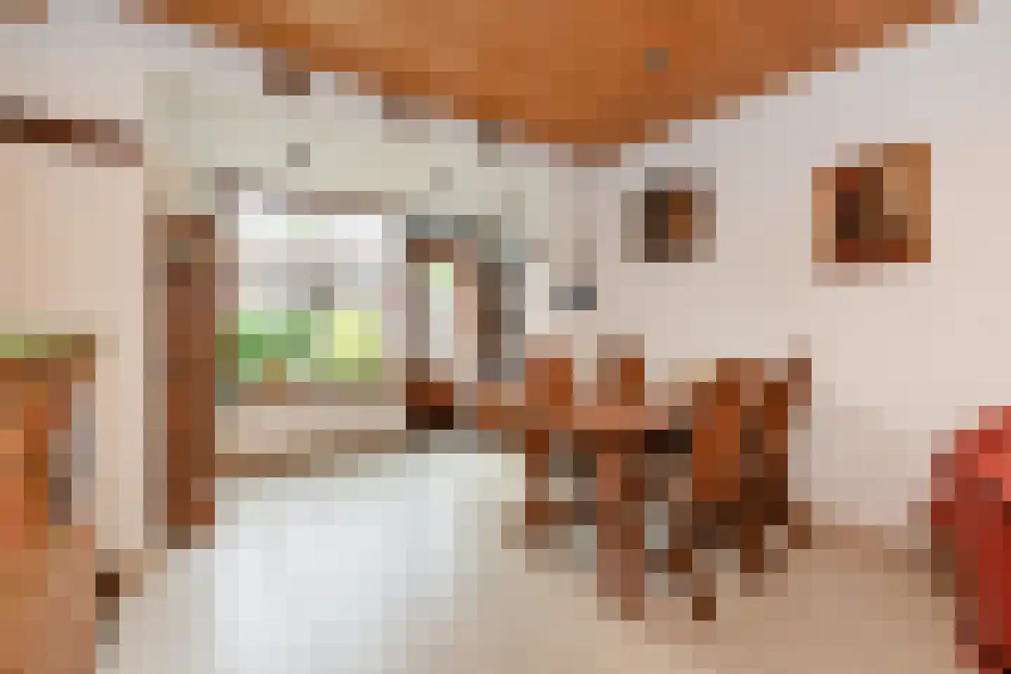 Cort van der Lindenstraat 15 Gouda thumbnail 10