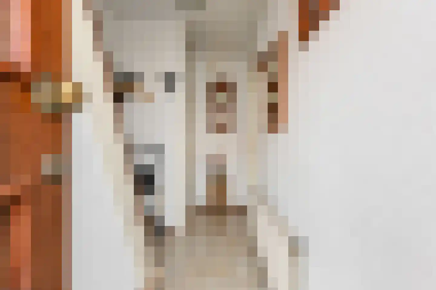 Cort van der Lindenstraat 15 Gouda thumbnail 6