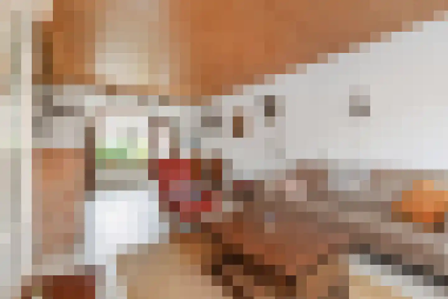 Cort van der Lindenstraat 15 Gouda thumbnail 7