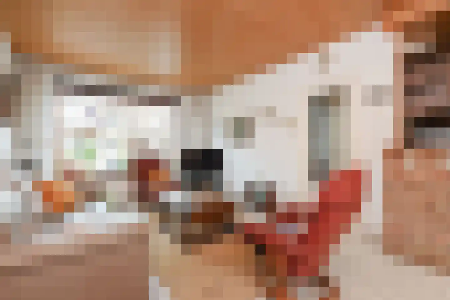 Cort van der Lindenstraat 15 Gouda thumbnail 9
