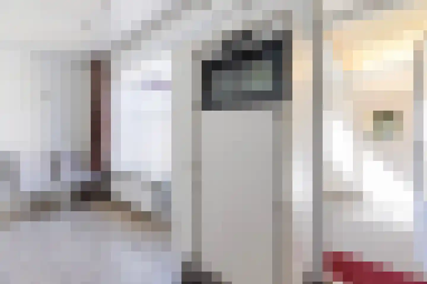 Cort van der Lindenstraat 17 Gouda thumbnail 18
