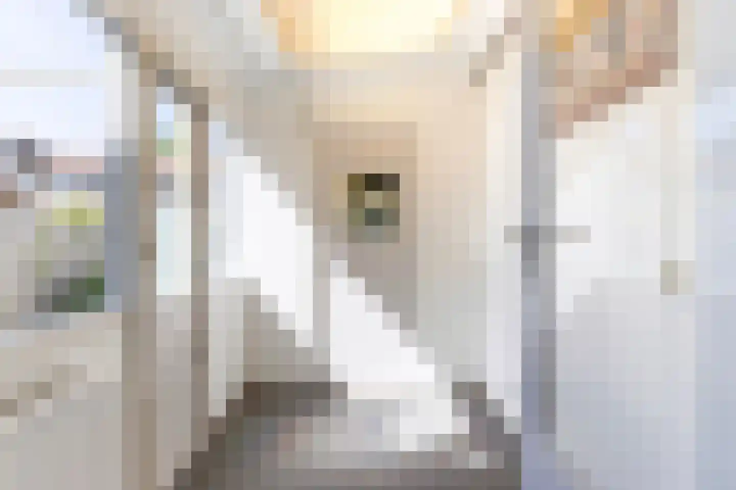 Cort van der Lindenstraat 17 Gouda thumbnail 21