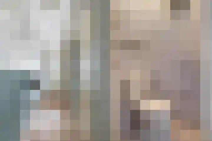 Cort van der Lindenstraat 18 Dordrecht thumbnail 10