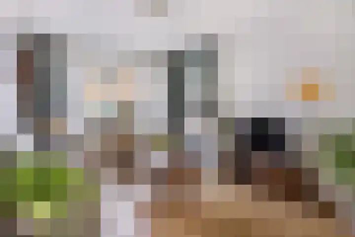 Cort van der Lindenstraat 18 Dordrecht thumbnail 11