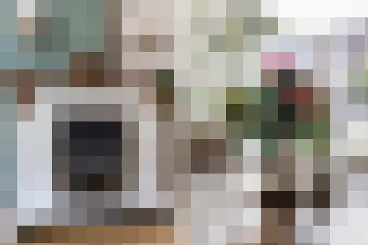 Cort van der Lindenstraat 18 Dordrecht thumbnail 12