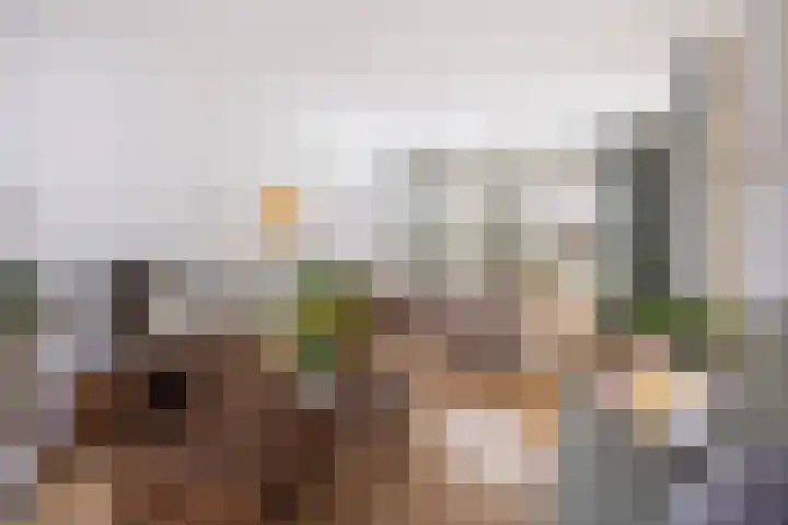 Cort van der Lindenstraat 18 Dordrecht thumbnail 13