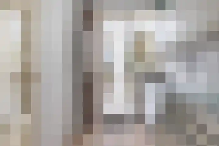 Cort van der Lindenstraat 18 Dordrecht thumbnail 16