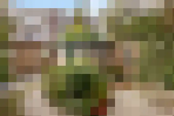 Cort van der Lindenstraat 18 Dordrecht thumbnail 19