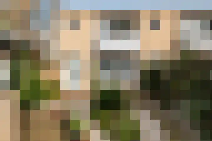 Cort van der Lindenstraat 18 Dordrecht thumbnail 22