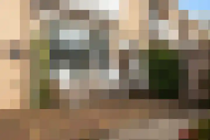 Cort van der Lindenstraat 18 Dordrecht thumbnail 23
