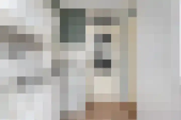 Cort van der Lindenstraat 18 Dordrecht thumbnail 24