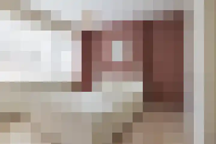 Cort van der Lindenstraat 18 Dordrecht thumbnail 25