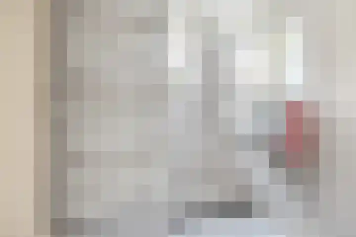 Cort van der Lindenstraat 18 Dordrecht thumbnail 27