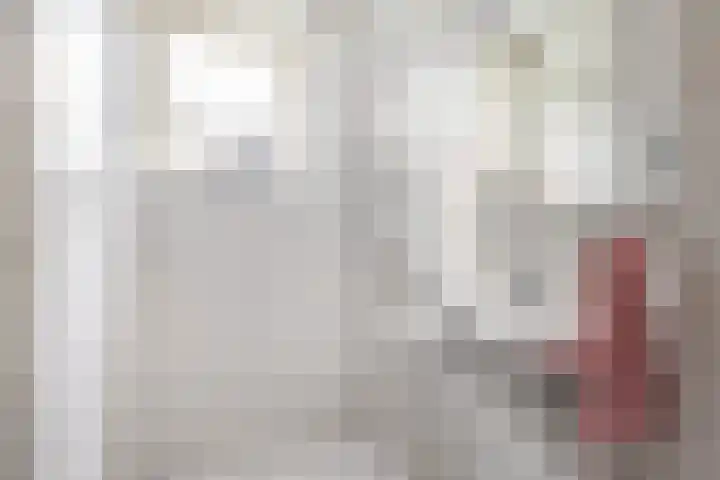 Cort van der Lindenstraat 18 Dordrecht thumbnail 28
