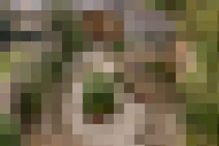 Cort van der Lindenstraat 18 Dordrecht thumbnail 34