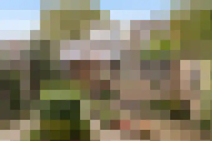Cort van der Lindenstraat 18 Dordrecht thumbnail 4