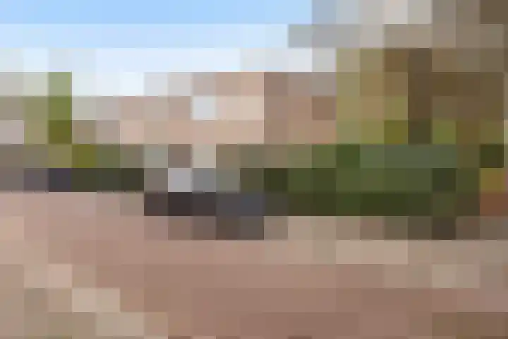 Cort van der Lindenstraat 18 Dordrecht thumbnail 7