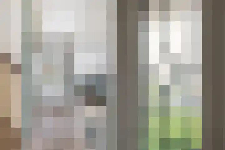 Cort van der Lindenstraat 18 Dordrecht thumbnail 9