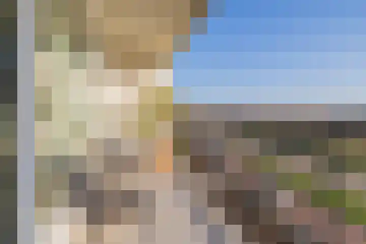 Cort van der Lindenstraat 2 F 28 Zandvoort thumbnail 11