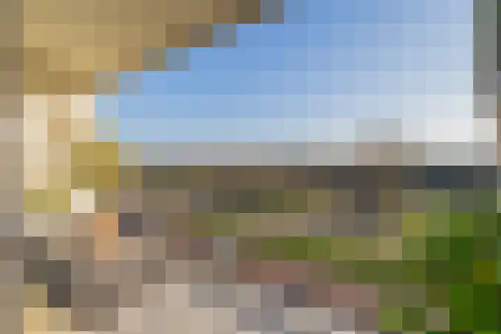 Cort van der Lindenstraat 2 F 28 Zandvoort thumbnail 12