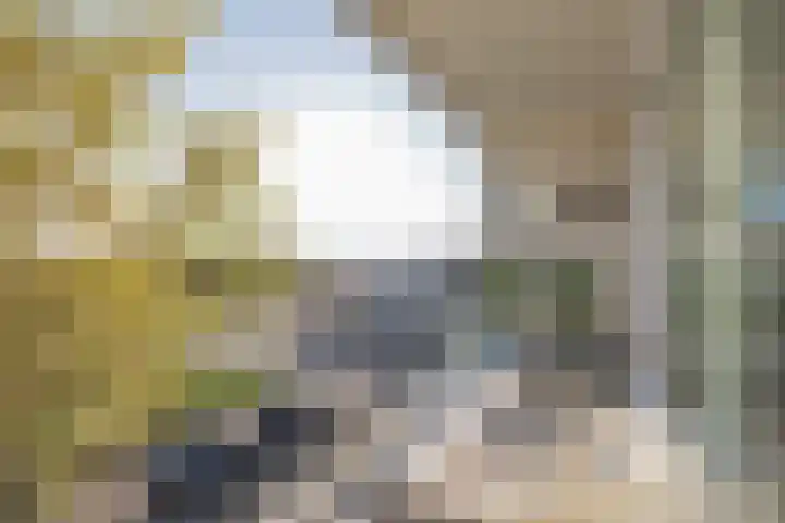 Cort van der Lindenstraat 2 F 28 Zandvoort thumbnail 13