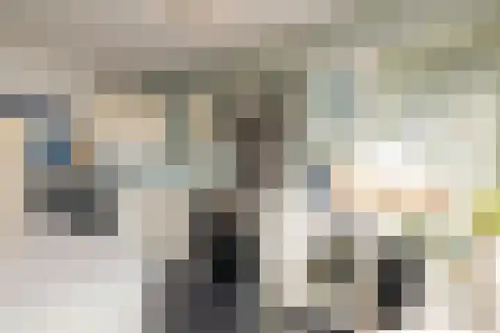 Cort van der Lindenstraat 2 F 28 Zandvoort thumbnail 15