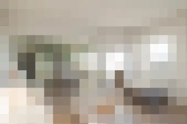 Cort van der Lindenstraat 2 F 28 Zandvoort thumbnail 20