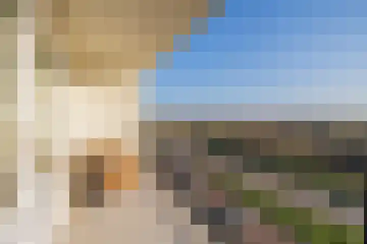 Cort van der Lindenstraat 2 F 28 Zandvoort thumbnail 27
