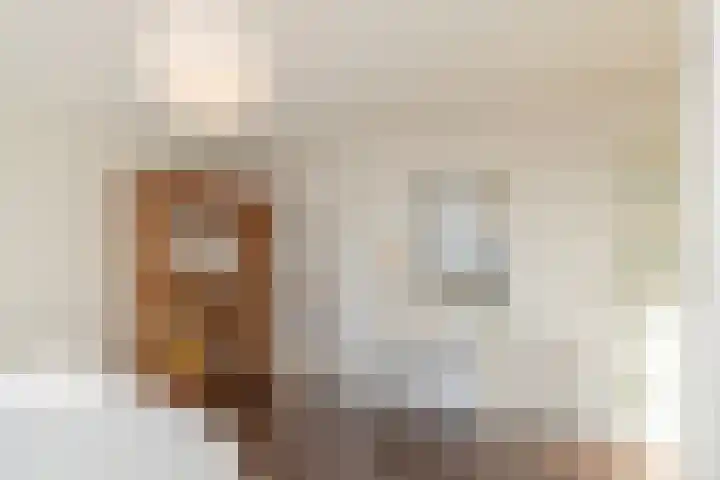Cort van der Lindenstraat 2 F 28 Zandvoort thumbnail 29