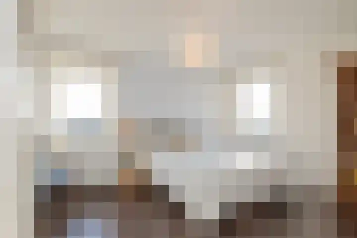 Cort van der Lindenstraat 2 F 28 Zandvoort thumbnail 30