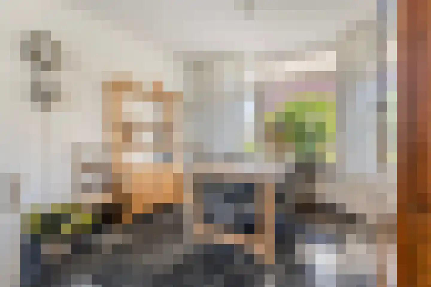 Cort van der Lindenstraat 212 Goes thumbnail 11