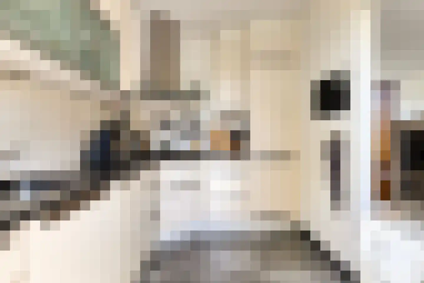 Cort van der Lindenstraat 212 Goes thumbnail 18