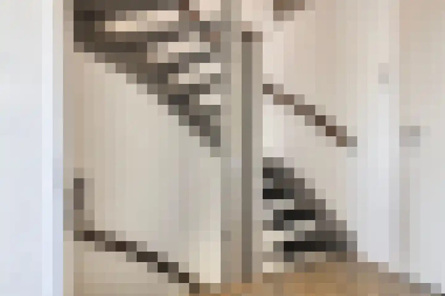 Cort van der Lindenstraat 212 Goes thumbnail 28