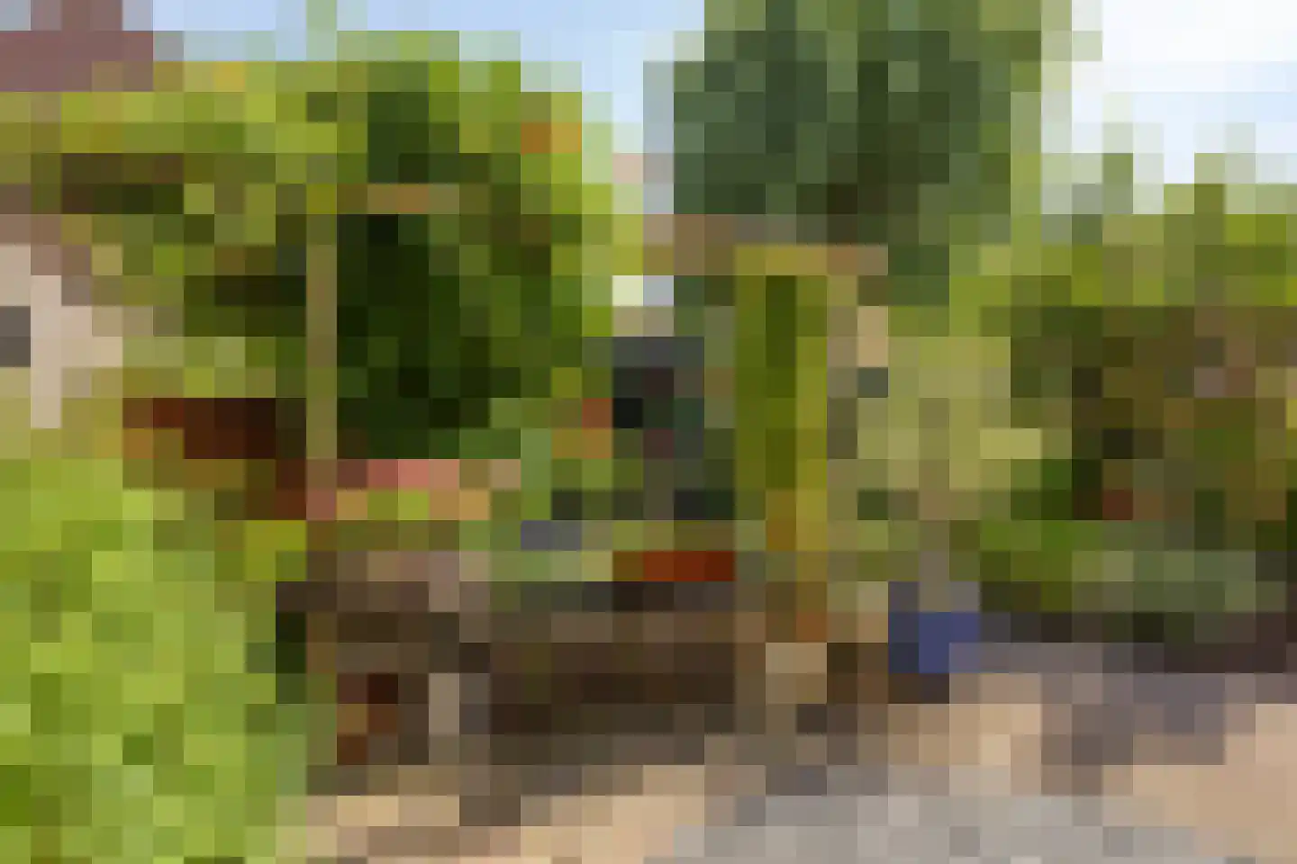 Cort van der Lindenstraat 212 Goes thumbnail 33