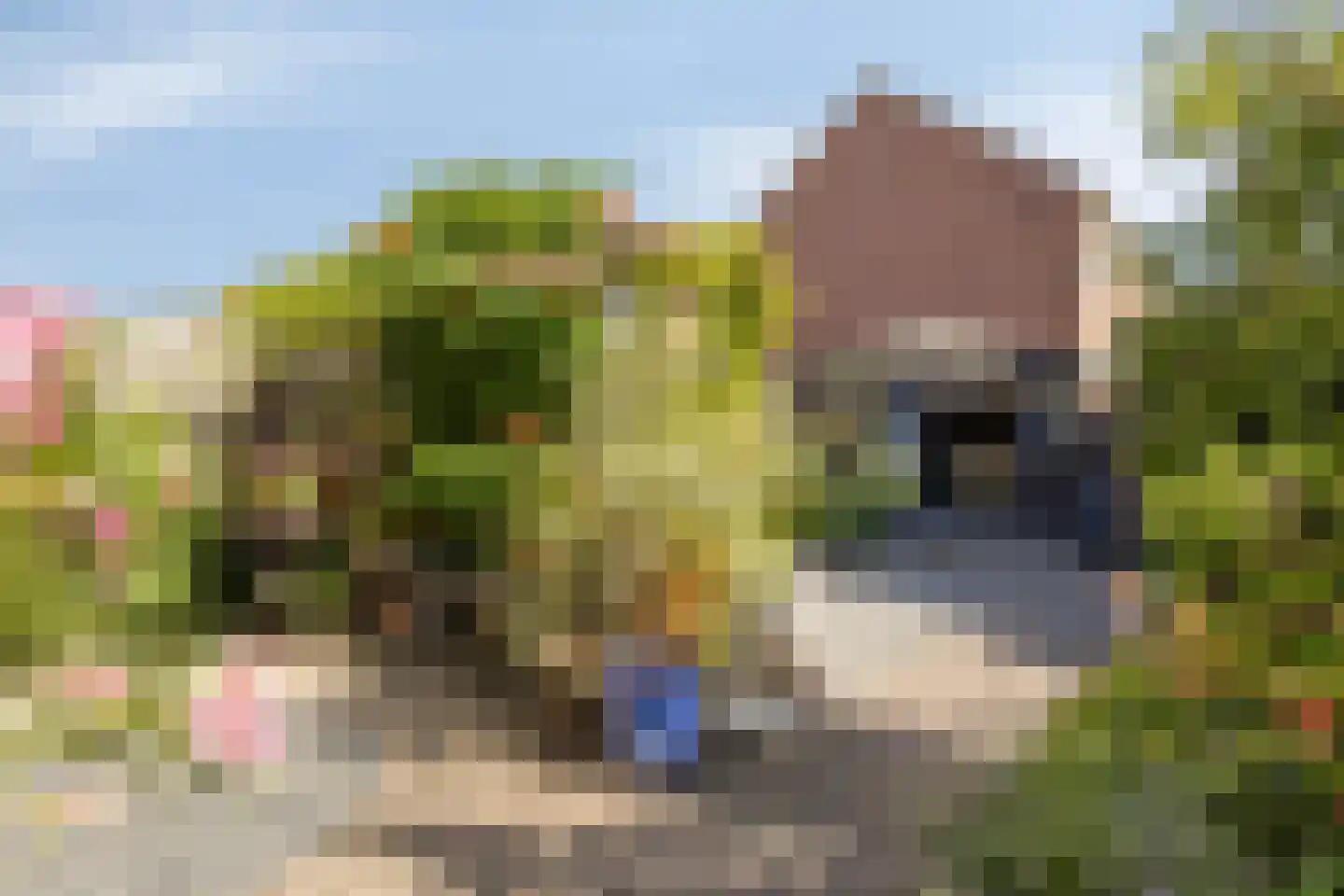 Cort van der Lindenstraat 212 Goes thumbnail 34