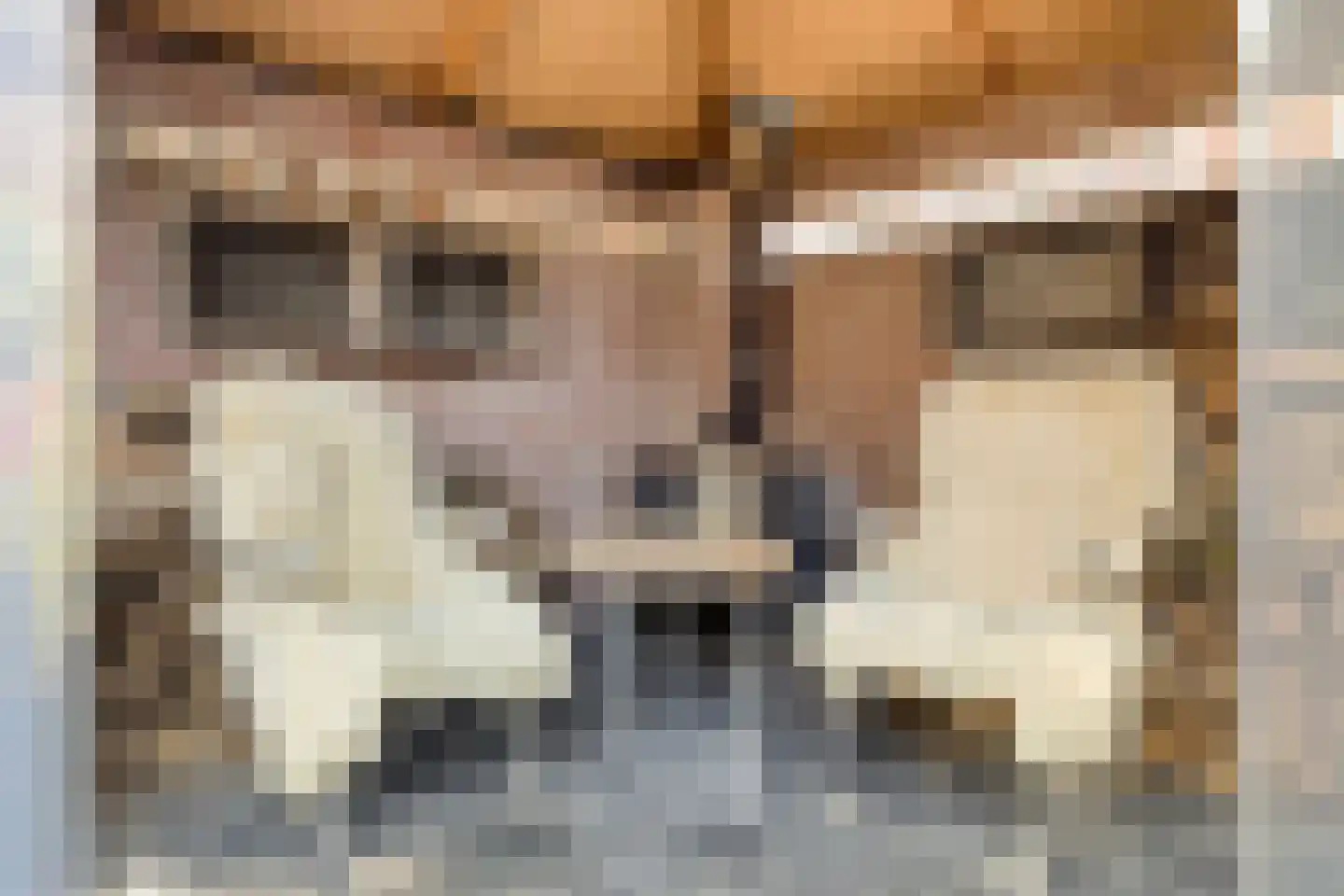 Cort van der Lindenstraat 212 Goes thumbnail 37