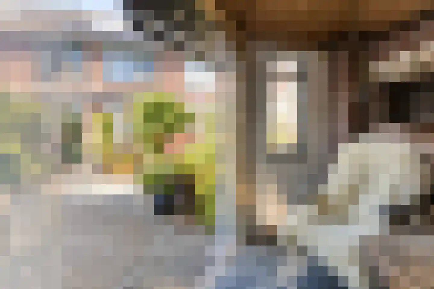 Cort van der Lindenstraat 212 Goes thumbnail 38