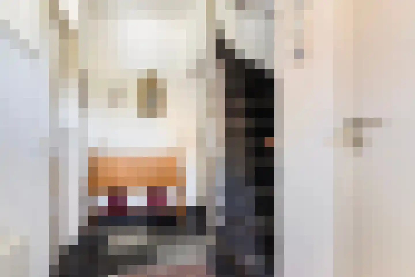 Cort van der Lindenstraat 212 Goes thumbnail 6